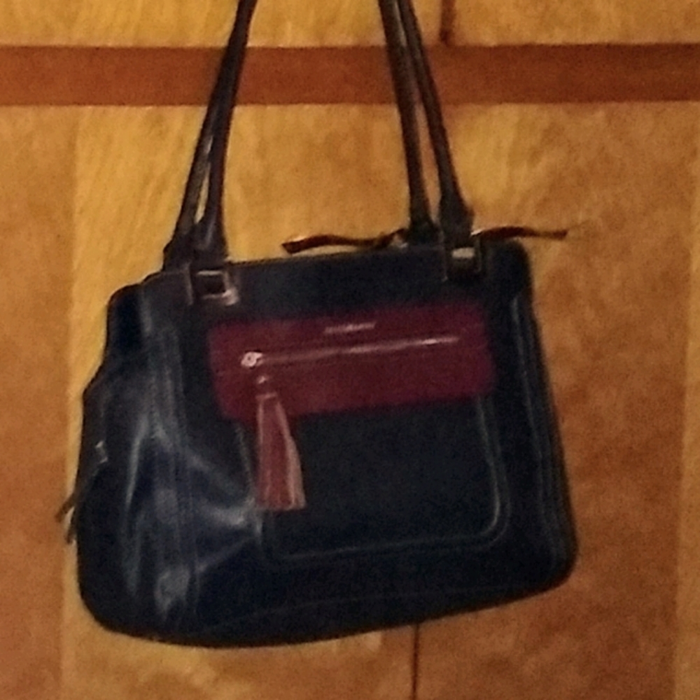 Liz Claiborne Navy and Brown Purse